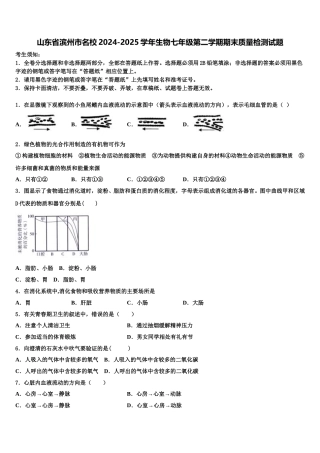 山东省滨州市名校2024-2025学年生物七年级第二学期期末质量检测试题含解析