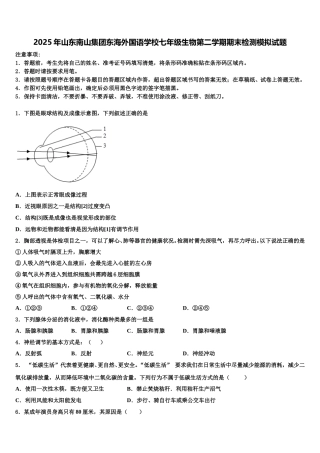 2025年山东南山集团东海外国语学校七年级生物第二学期期末检测模拟试题含解析