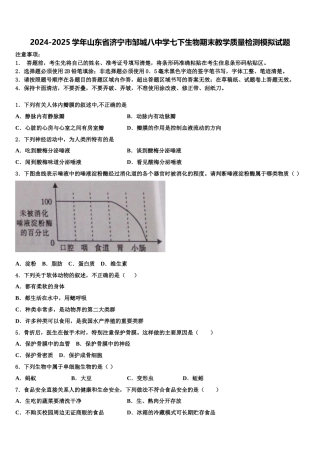2024-2025学年山东省济宁市邹城八中学七下生物期末教学质量检测模拟试题含解析