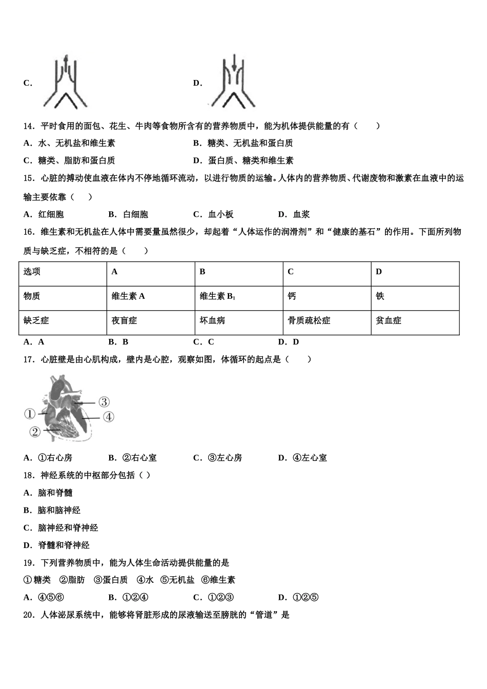 山东省青岛五校联考2025届生物七年级第二学期期末考试试题含解析_第3页