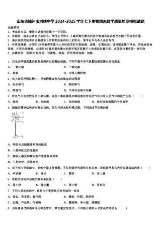 山东省滕州市洪绪中学2024-2025学年七下生物期末教学质量检测模拟试题含解析