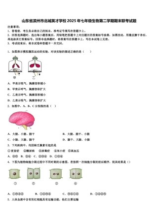 山东省滨州市北城英才学校2025年七年级生物第二学期期末联考试题含解析