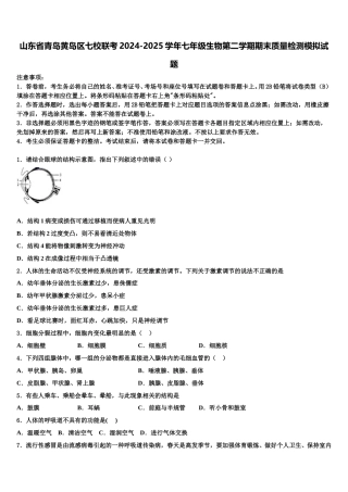 山东省青岛黄岛区七校联考2024-2025学年七年级生物第二学期期末质量检测模拟试题含解析