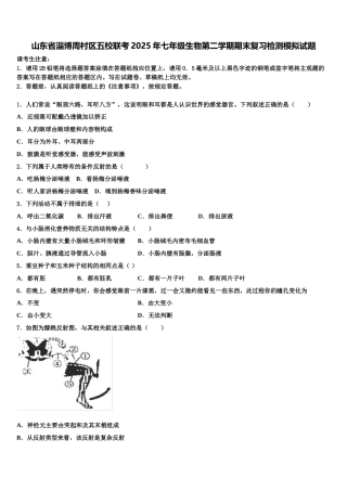 山东省淄博周村区五校联考2025年七年级生物第二学期期末复习检测模拟试题含解析