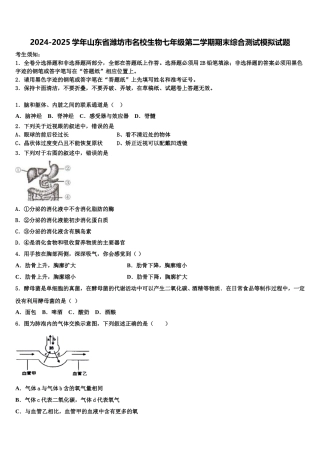 2024-2025学年山东省潍坊市名校生物七年级第二学期期末综合测试模拟试题含解析