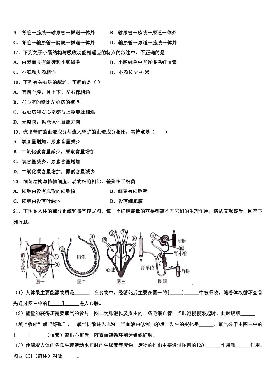 2025届山东省费县七年级生物第二学期期末检测模拟试题含解析_第3页