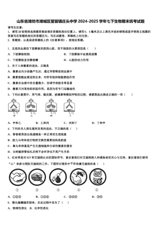 山东省潍坊市潍城区望留镇庄头中学2024-2025学年七下生物期末统考试题含解析