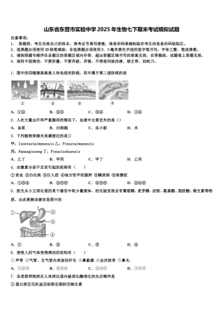 山东省东营市实验中学2025年生物七下期末考试模拟试题含解析