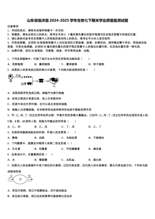 山东省临沭县2024-2025学年生物七下期末学业质量监测试题含解析