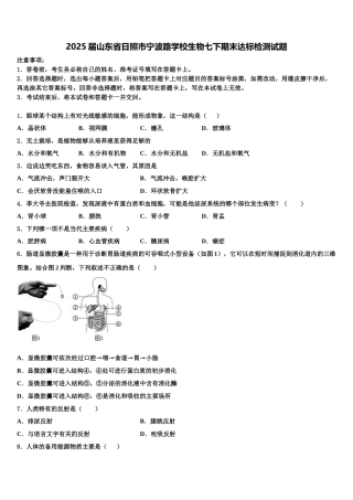 2025届山东省日照市宁波路学校生物七下期末达标检测试题含解析