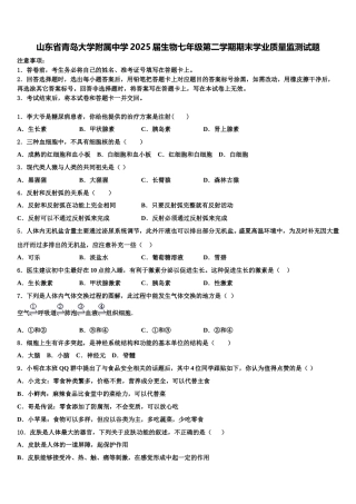 山东省青岛大学附属中学2025届生物七年级第二学期期末学业质量监测试题含解析