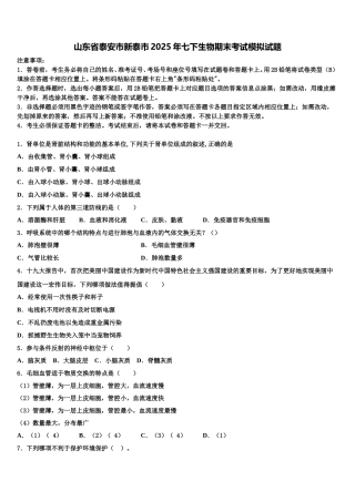 山东省泰安市新泰市2025年七下生物期末考试模拟试题含解析