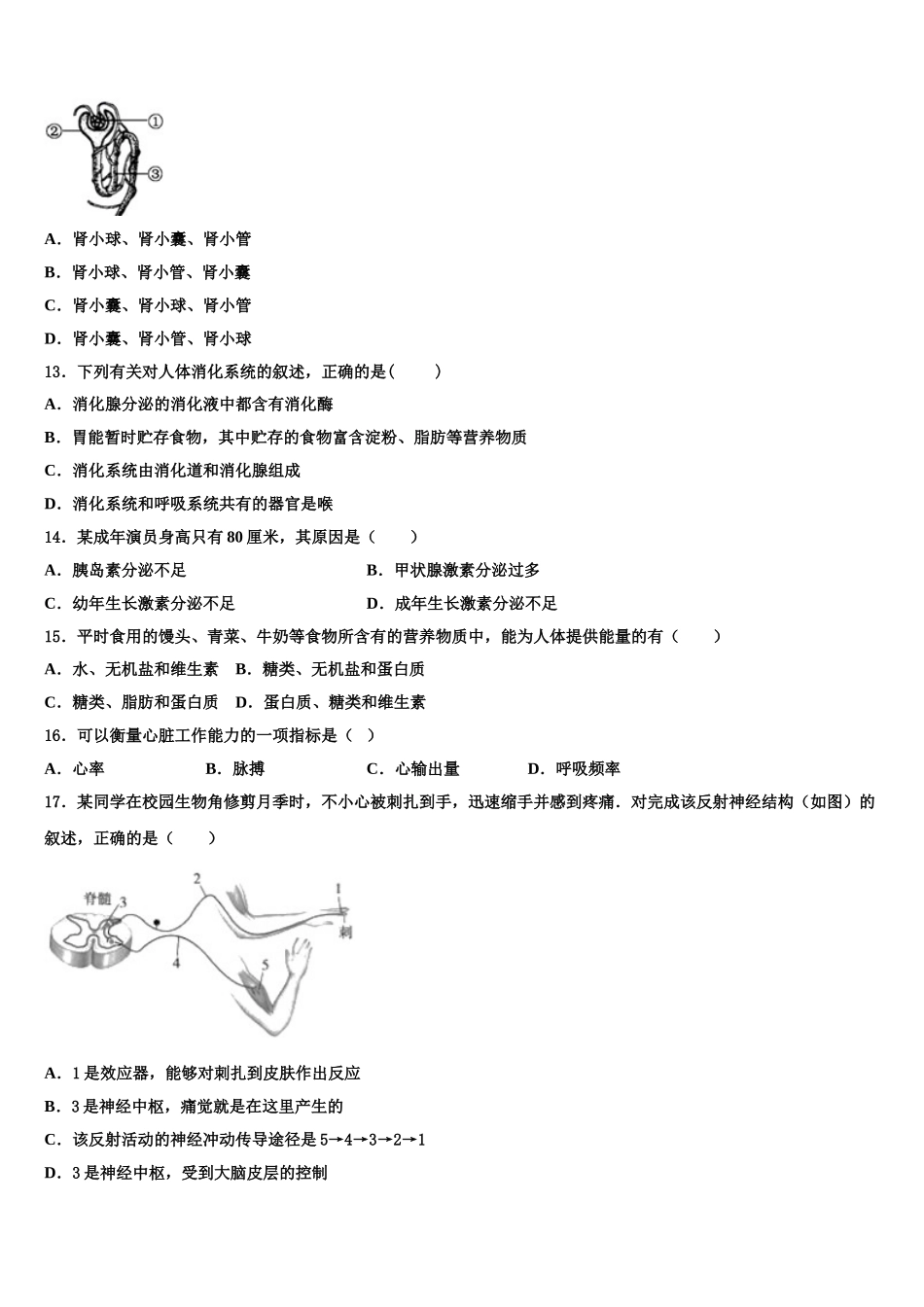 山东省郓城第一中学2024-2025学年生物七年级第二学期期末考试模拟试题含解析_第3页