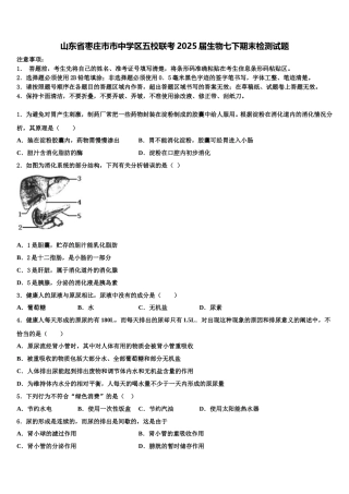山东省枣庄市市中学区五校联考2025届生物七下期末检测试题含解析