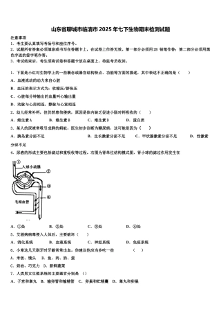 山东省聊城市临清市2025年七下生物期末检测试题含解析