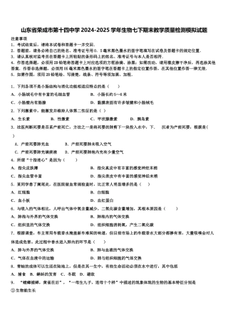 山东省荣成市第十四中学2024-2025学年生物七下期末教学质量检测模拟试题含解析