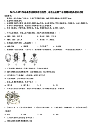 2024-2025学年山东省泰安市岱岳区七年级生物第二学期期末经典模拟试题含解析