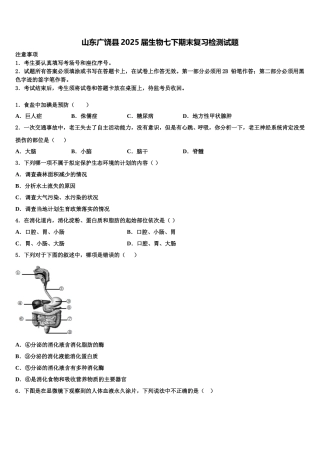 山东广饶县2025届生物七下期末复习检测试题含解析