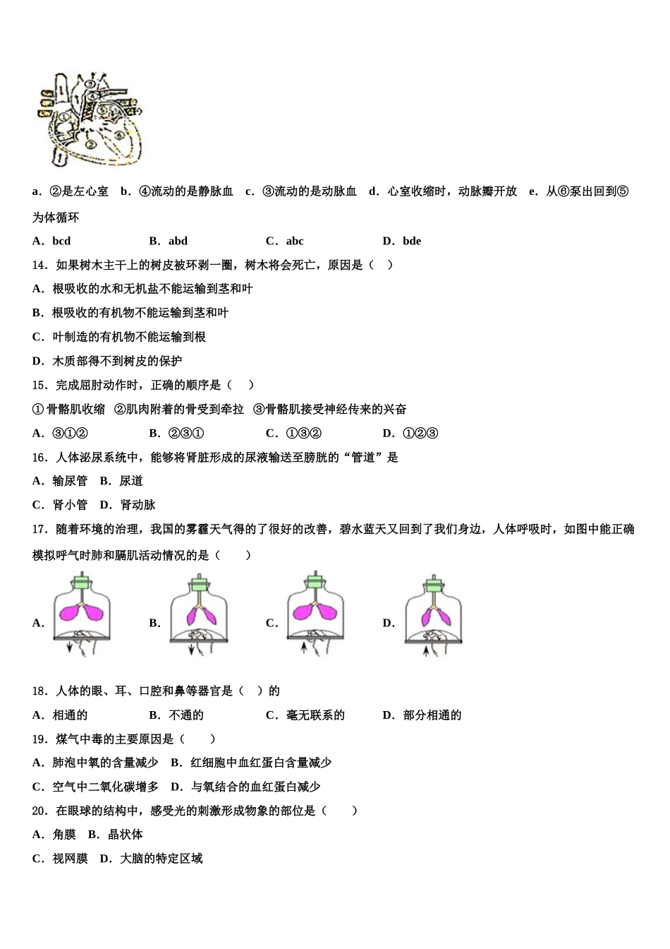 山东省滨州阳信县联考2025年七下生物期末复习检测模拟试题含解析_第3页
