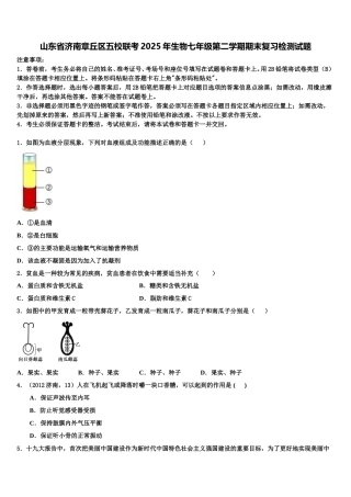 山东省济南章丘区五校联考2025年生物七年级第二学期期末复习检测试题含解析