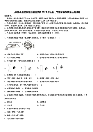 山东南山集团东海外国语学校2025年生物七下期末教学质量检测试题含解析