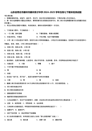 山东省枣庄市滕州市滕州育才中学2024-2025学年生物七下期末检测试题含解析