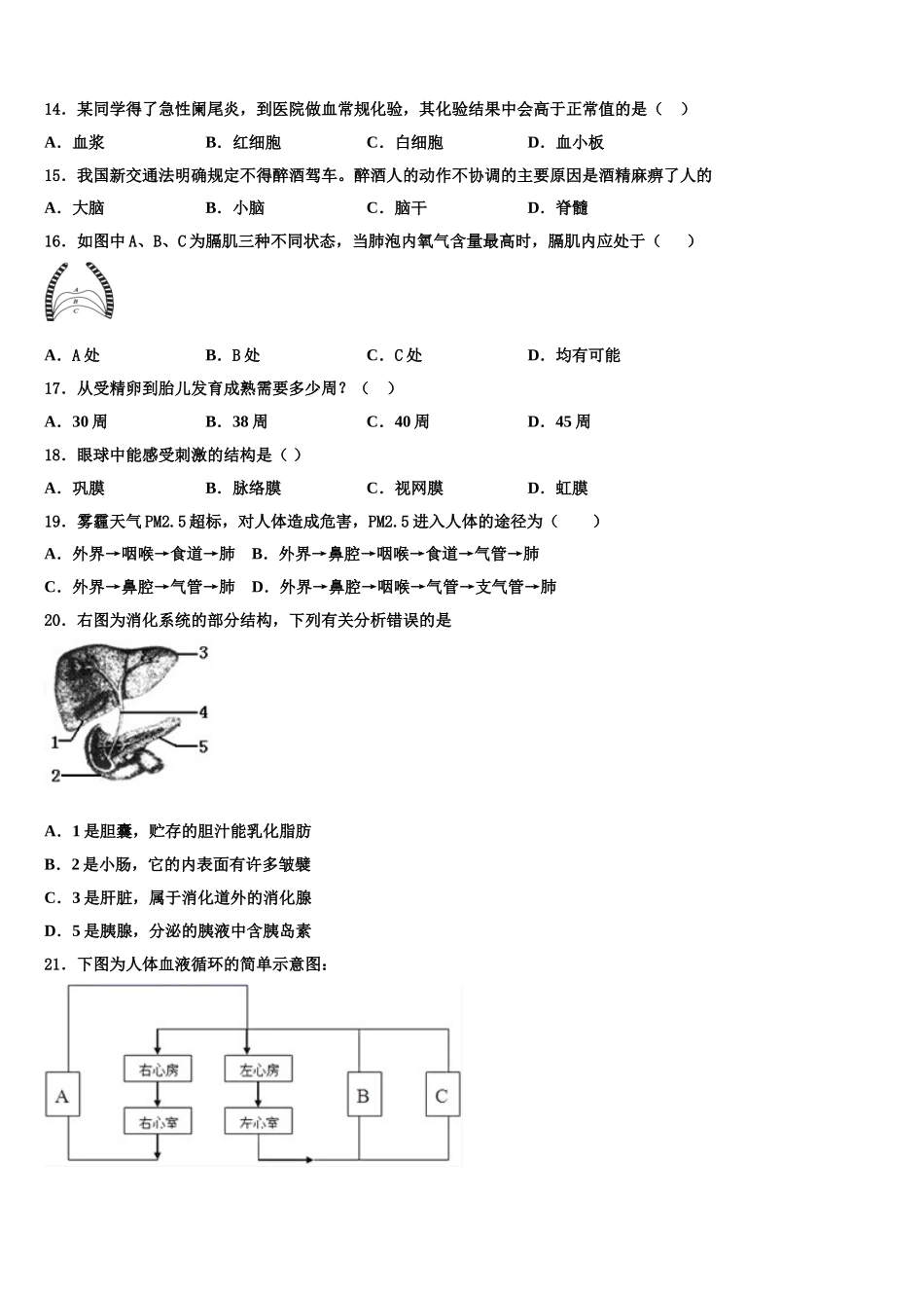 2024-2025学年山东省单县北城第三初级中学生物七年级第二学期期末质量检测模拟试题含解析_第3页