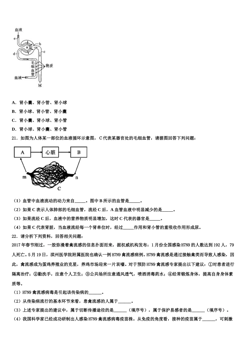 2024-2025学年山东省烟台芝罘区六校联考七下生物期末教学质量检测模拟试题含解析_第3页