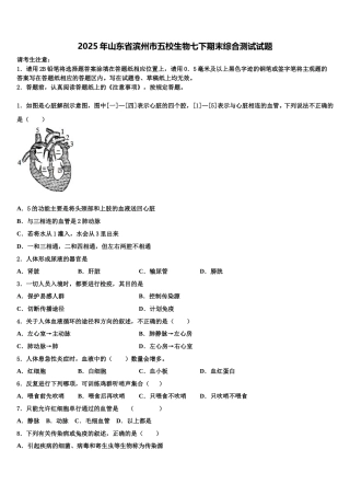 2025年山东省滨州市五校生物七下期末综合测试试题含解析