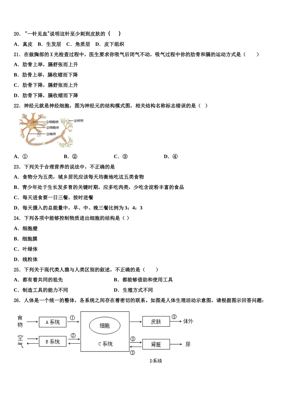山东省广饶县2025年生物七下期末教学质量检测模拟试题含解析_第3页