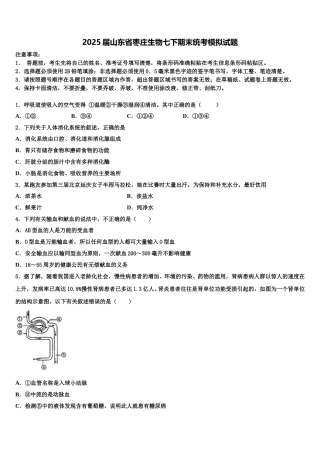 2025届山东省枣庄生物七下期末统考模拟试题含解析
