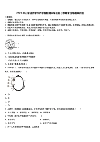 2025年山东省济宁市济宁院附属中学生物七下期末统考模拟试题含解析