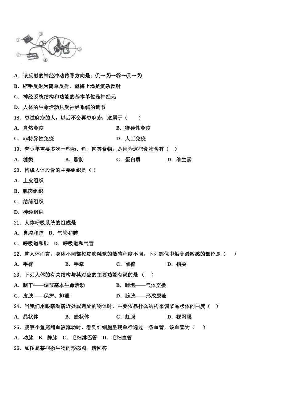 2024-2025学年山东省安丘市、高密市、寿光市七年级生物第二学期期末检测试题含解析_第3页