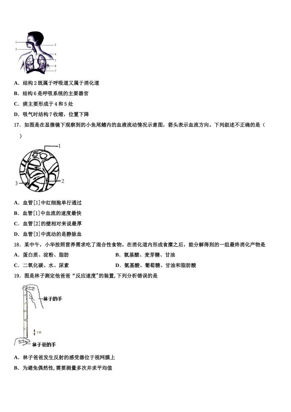 2024-2025学年山东省威海市文登市七下生物期末统考试题含解析_第3页