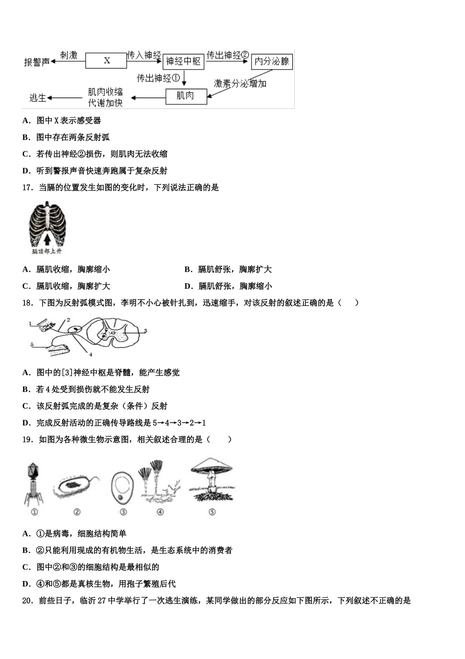 山东省乐陵市开元中学2024-2025学年生物七年级第二学期期末复习检测模拟试题含解析_第3页