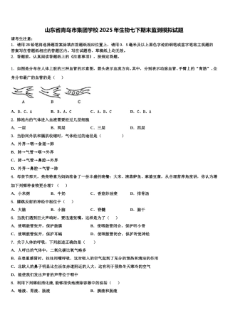 山东省青岛市集团学校2025年生物七下期末监测模拟试题含解析