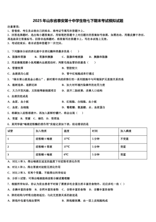 2025年山东省泰安第十中学生物七下期末考试模拟试题含解析