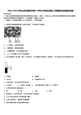 2024-2025学年山东省德州市第一中学七年级生物第二学期期末检测模拟试题含解析