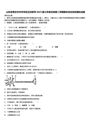 山东省枣庄市市中学区五校联考2025届七年级生物第二学期期末综合测试模拟试题含解析