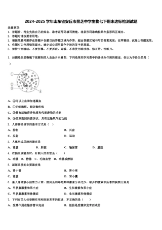 2024-2025学年山东省安丘市景芝中学生物七下期末达标检测试题含解析