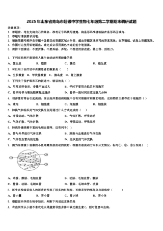 2025年山东省青岛市超银中学生物七年级第二学期期末调研试题含解析