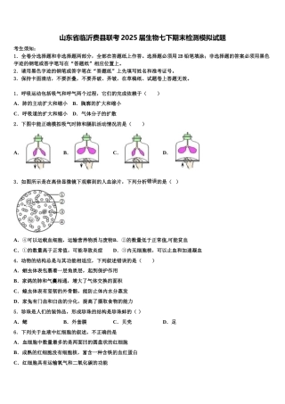 山东省临沂费县联考2025届生物七下期末检测模拟试题含解析