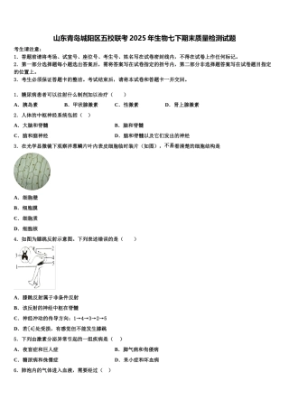 山东青岛城阳区五校联考2025年生物七下期末质量检测试题含解析