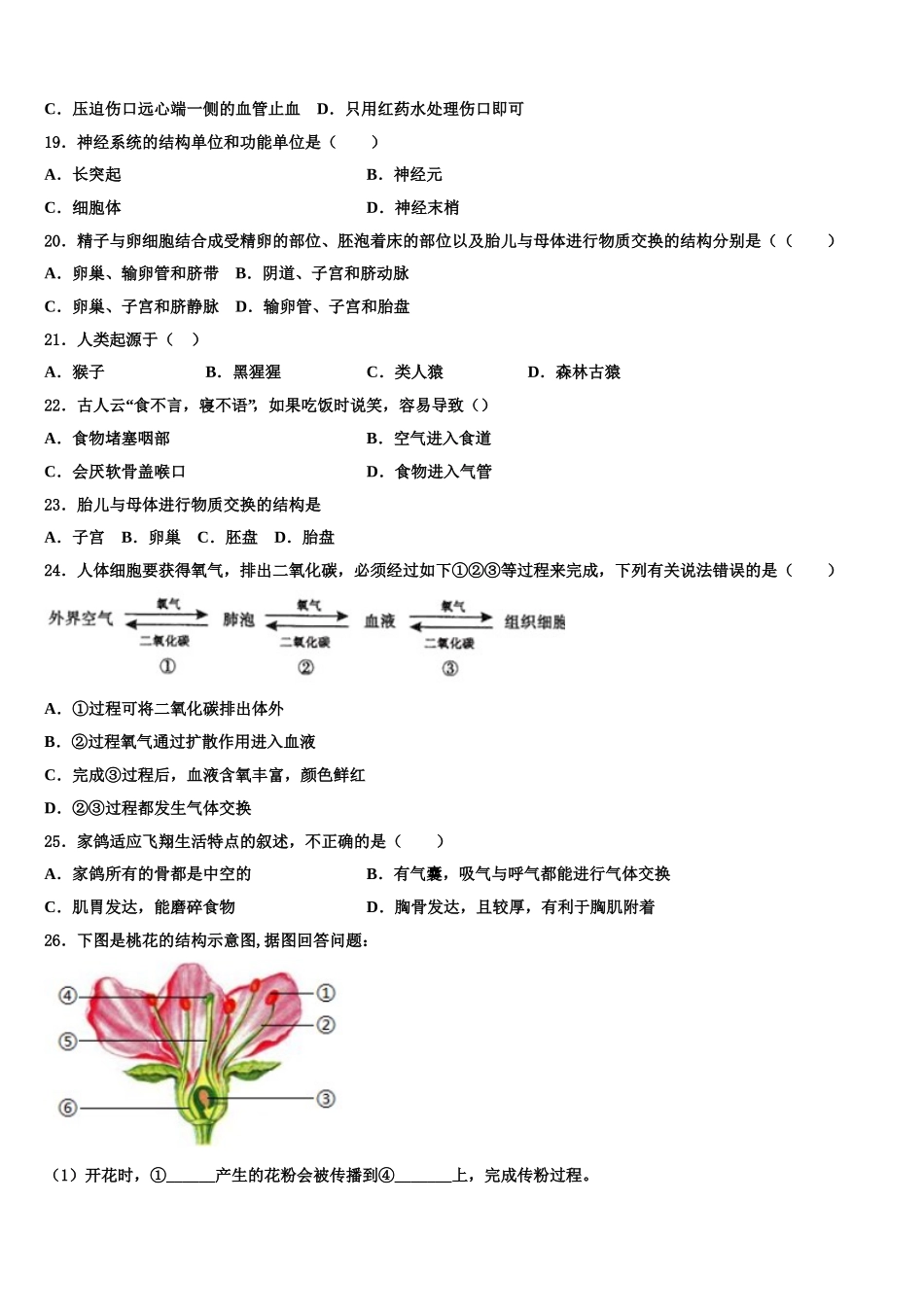 威海市重点中学2025年七年级生物第二学期期末经典模拟试题含解析_第3页