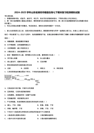 2024-2025学年山东省潍坊市辖县生物七下期末复习检测模拟试题含解析