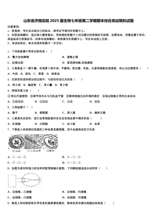 山东省济南实验2025届生物七年级第二学期期末综合测试模拟试题含解析