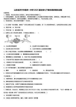 山东省济宁市鲁桥一中学2025届生物七下期末调研模拟试题含解析