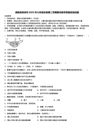 湖南省株洲市2025年七年级生物第二学期期末教学质量检测试题含解析
