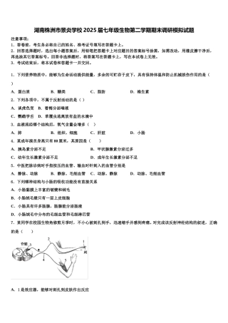 湖南株洲市景炎学校2025届七年级生物第二学期期末调研模拟试题含解析