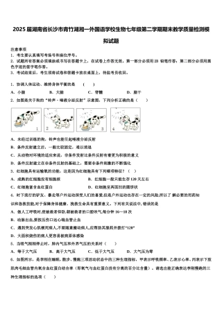 2025届湖南省长沙市青竹湖湘一外国语学校生物七年级第二学期期末教学质量检测模拟试题含解析